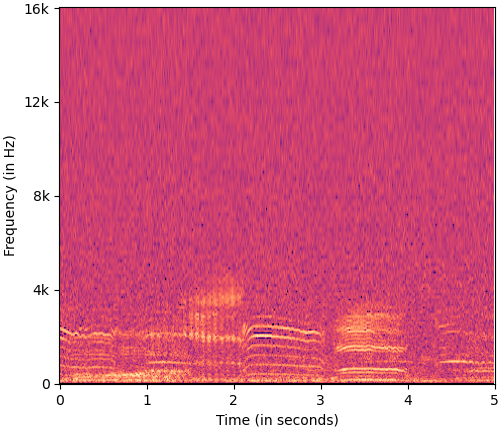 C_LMspectrogram_input